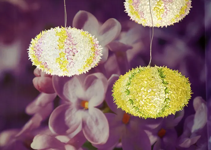 Aja מלון Grömitz